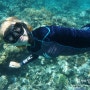 이집트 여행 다합 살이:) 프리다이빙, 나의 눈물겨운 프리다이빙 도전기, SSI LEVEL 1 따다!