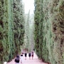 [그라나다: Granada] 한 번도 가기 힘든 알함브라 궁전, 두 번째 방문