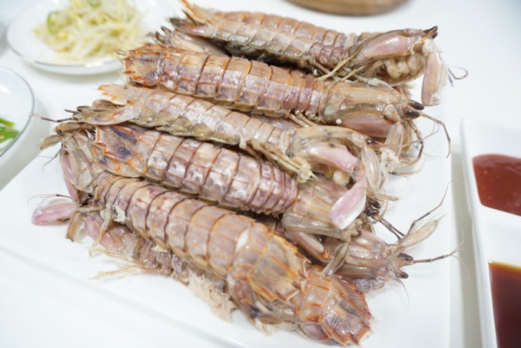 쏙 갯가재 찌는법 과 쏙 까는법으로 편하게 드세요 :)) : 네이버 블로그