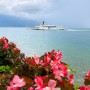 스위스 여행 : 레만 호수를 품은 몽트뢰