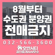 8월부터 분양권 전매 금지... 인천 등 수도권 대부분 지역 적용 [부동산 소식]