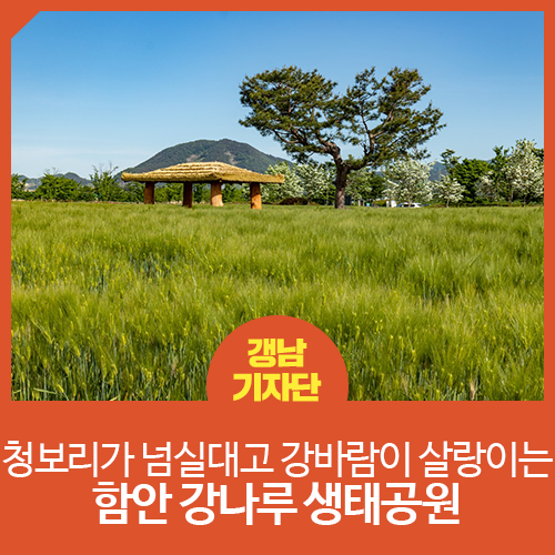 [경상남도 함안 / 함안... 강바람이 살랑이는 함안 강나루 생태공원