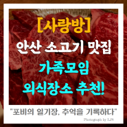 안산 소고기 맛집 사랑방 가족모임 외식장소 추천^^