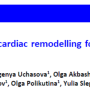 Biological markers and cardiac remodeling following the myocardial infarction