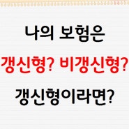 【 보험점검 】 삼*화재 갱신형 보험점검 3040대 필독!!향후납부보험료 3억!!!!