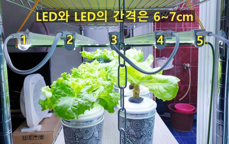 [수경재배팁]LED 위치에 따른 식물의 배치법(LED 사용시 중요한부분) : 네이버 블로그