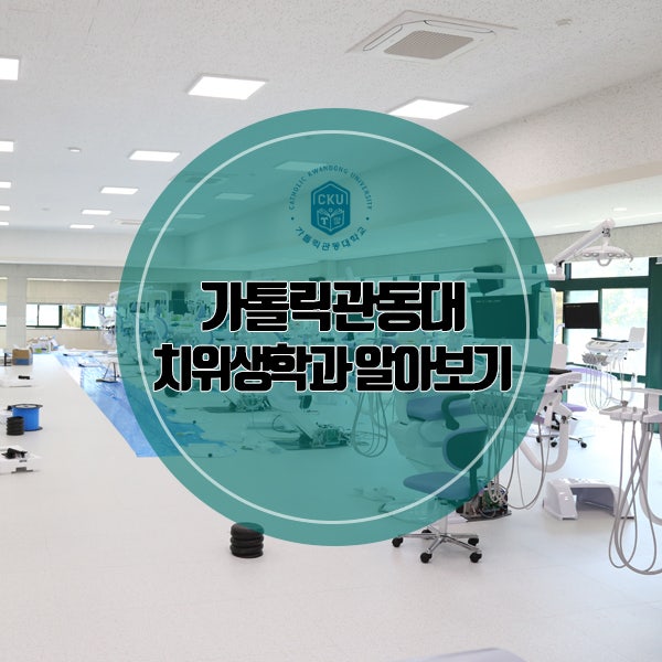 가톨릭관동대 치위생학과 전국 최고 실습실을 갖추다 : 네이버 블로그