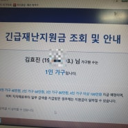 긴급재난지원금 동거인 신청- 인천은?