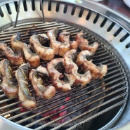 강화 애견동반 맛집..초지대교 맛집..갯벌뷰 아름다운 해안도시 참숯불장어구이