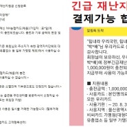 긴급재난지원금 정부 지원금 착한 페이 울산 페이 혜택이 넘쳐나는 이앤비 에너지