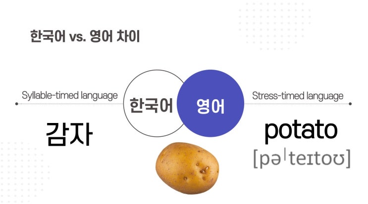 영어 음절 syllable 넌 누구? 정의, 음절 구분하는 꿀팁 : 네이버 블로그