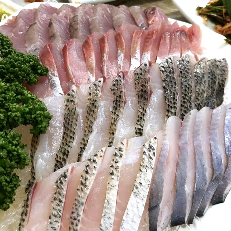 여수회집,여천회집,여수선어👉노다지회선어 : 네이버 블로그