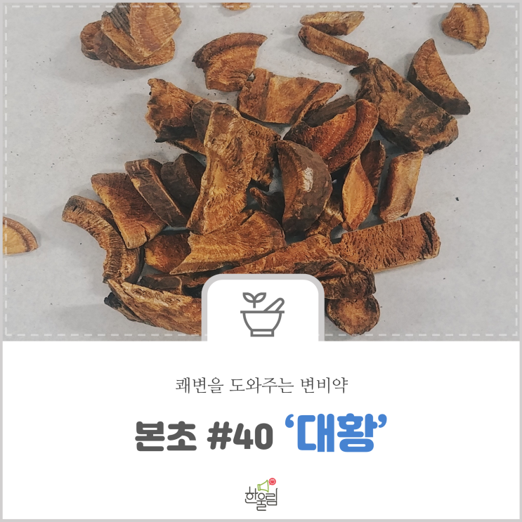 [한약학과생's 약초원] #40. 대황 : 네이버 블로그