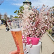 오사카 벚꽃,花見