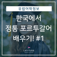[유럽어학정보] 한국에서 유럽식 정통 포르투갈어 배우기! #1