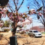 김포 범바위캠핑장 봄의 시작!