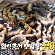 [제천외식맛집]봉선장어촌 20200518 MBC충북방송 아침N