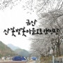대전근교 캠핑장, 금산 산꽃벚꽃마을오토캠핑장