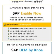 [무료 웨비나] SAP 교육 매뉴얼을 손쉽게 만들고, 사용자 모니터링까지 한 번에 해결하세요! (5/26 오후 2시)