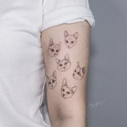 [묘한타투]색다른 개성의 여섯 고양이를 담은 반려묘 일러스트 라인타투 line tattoo