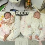 106일째 쌍둥이 성장 사진