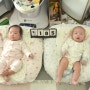 105일째 쌍둥이 성장 사진