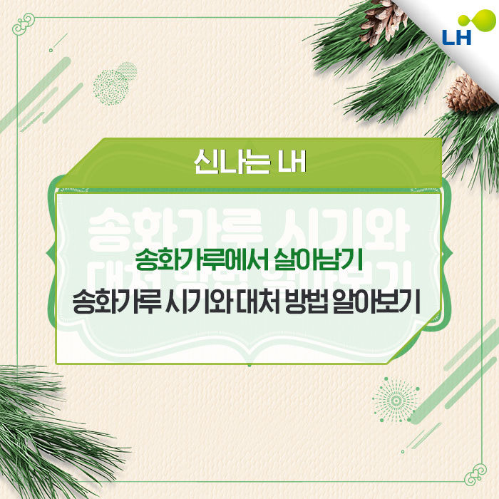 송화가루에서 살아남기, 송화가루 시기와 대처 방법 알아보기 : 네이버 블로그