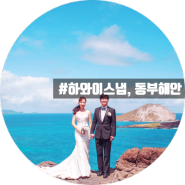 [하와이스냅] 동부해안 허니문 스냅 촬영 (이스트코스트 스냅)