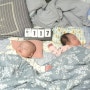 117일째 쌍둥이 성장 사진