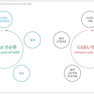 [GABA 8] 가바의 선순환과 악순환
