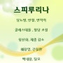 <스피루리나 효능> 당뇨병, 빈혈, 면역력 증강에 도움