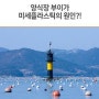 해양의 이해 평소 과제: 미세 플라스틱