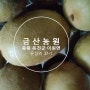 달콤새콤 한 키위 골드 키위(Golden kiwi)