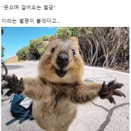 걸어다니는 벌금