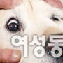 행복한 노견(老犬) 생활 백서