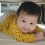 19. 8개월아기의 성장일기(이닦기,놀아주기,잡고서기)