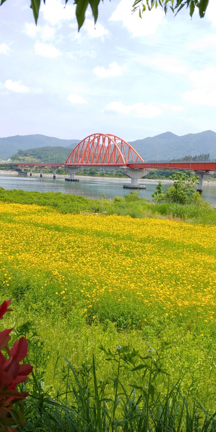 섬진강여행 하동~광양-200527 : 네이버 블로그