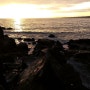 일출보러 밀포드비치로 오클랜드 뉴질랜드The sunrise in Milford Beach, New Zealand [뉴질랜드 브이로그]