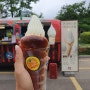 《서울/신대방동》누텔라 소라빵 아이스크림 먹어봤습니다