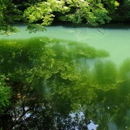 2020.05.23_성지곡수원지, 신비한 연못
