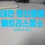 도안/원신흥동 라텍스 매트리스에 강아지오줌세척 청소