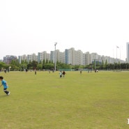 명지근린공원 :: 텐트치고 아이들이 뛰어놀기 좋은곳