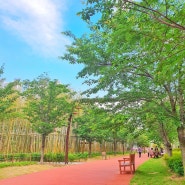 날씨 좋은 날 부산시민공원 소풍(마스크 필수)