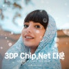 instaling 3DP Chip 23.07