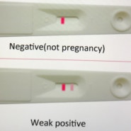 임신테스트기 희미한 두줄 임신일까?