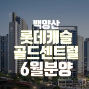 백양산 롯데캐슬 골드센트럴 1순위 마감…경쟁률 29.81대 1