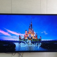 엘지올레드티비 내돈내산 구입솔직후기 직구로사려다 지마켓에서 구입 LG OLED65인치TV 온라인구매