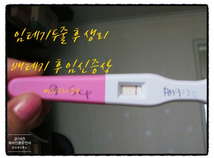 임신테스트기사용시기 두줄 후 생리, 배란테스트기 후 임신극초기증상 有 : 네이버 블로그