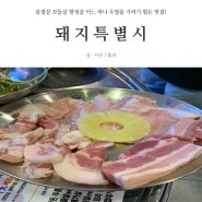 [남포동 고기집] 돼지특별시 :: 삼겹살 꼬들살 항정살 어느 하나 우열을 가리기 힘든 맛집!