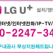 LG U+ 경남 창원 마산 신규오픈 **동물병원 엘지유플러스 기업인터넷/인터넷전화 설치해드렸습니다.